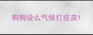 狗狗设么气候打疫苗