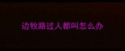 边牧路过人都叫怎么办