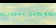 如何科学护理产后拉布拉多母犬全流程指南助您度过哺乳期难关
