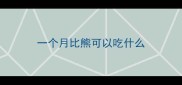 一个月比熊可以吃什么