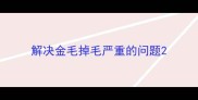 解决金毛掉毛严重的问题