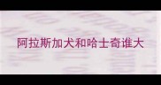 阿拉斯加犬和哈士奇谁大