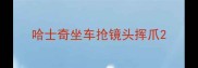 哈士奇坐车抢镜头挥爪