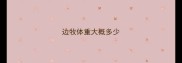 边牧体重大概多少