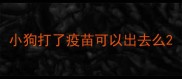 小狗打了疫苗可以出去么