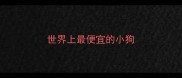 世界上最便宜的小狗
