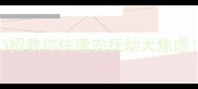 新狗到家夜惊叫3招教你快速安抚幼犬焦虑附家庭训练全攻略