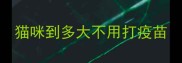 猫咪到多大不用打疫苗
