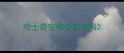 哈士奇宠物级能买吗