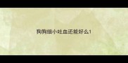 狗狗细小吐血还能好么