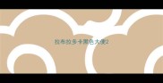 拉布拉多卡黑色大便