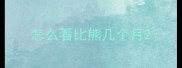 怎么看比熊几个月
