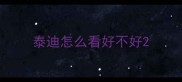 泰迪怎么看好不好