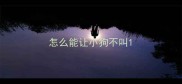 怎么能让小狗不叫