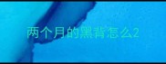 两个月的黑背怎么