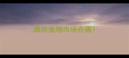 潍坊宠物市场在哪