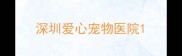 深圳爱心宠物医院