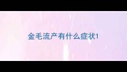 金毛流产有什么症状