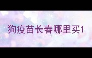 狗疫苗长春哪里买