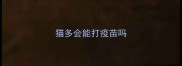 猫多会能打疫苗吗