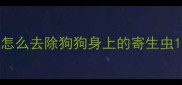 怎么去除狗狗身上的寄生虫