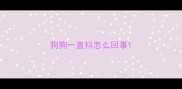 狗狗一直抖怎么回事