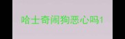 哈士奇闹狗恶心吗