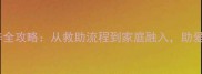 拉布拉多领养全攻略从救助流程到家庭融入助爱犬开启新生