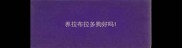 养拉布拉多狗好吗