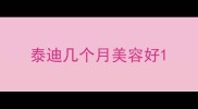 泰迪几个月美容好