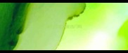 狗打疫苗后能出门吗