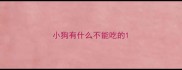 小狗有什么不能吃的