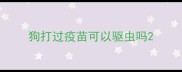 狗打过疫苗可以驱虫吗