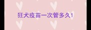 狂犬疫苗一次管多久