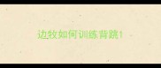 边牧如何训练背跳