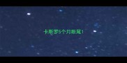 卡斯罗5个月断尾