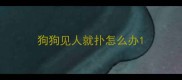 狗狗见人就扑怎么办