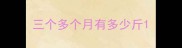 三个多个月有多少斤