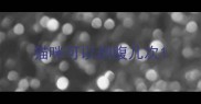 猫咪可以剖腹几次