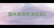 猫咪肺炎吃消炎的