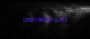 边牧耳螨用什么洗
