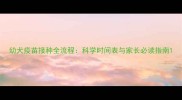 幼犬疫苗接种全流程科学时间表与家长必读指南