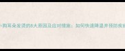 小狗耳朵发烫的8大原因及应对措施如何快速降温并预防疾病