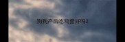 狗狗产后吃鸡蛋好吗