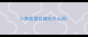 小狗感冒拉稀吃什么药