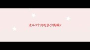 法斗3个月吃多少狗粮