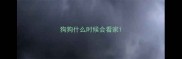 狗狗什么时候会看家