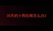 30天的小狗拉稀怎么办