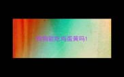 狗狗能吃鸡蛋黄吗