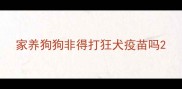 家养狗狗非得打狂犬疫苗吗